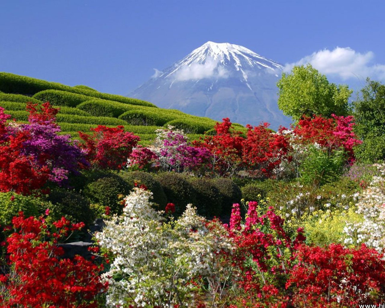 Красивый мир рядом. Сад Кавати Фудзи. Цветущая Долина в Испании. «Сады Эдема» в горах Фойя.