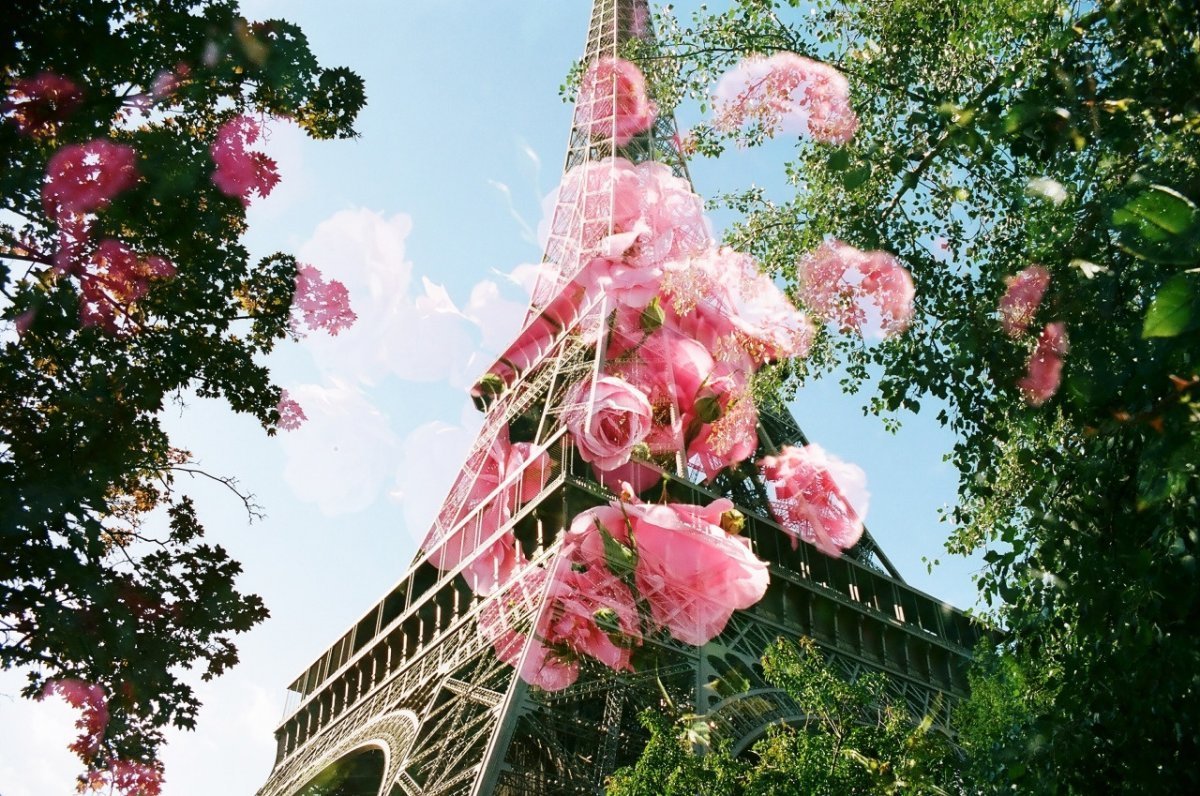 эйфелева башня с цветами