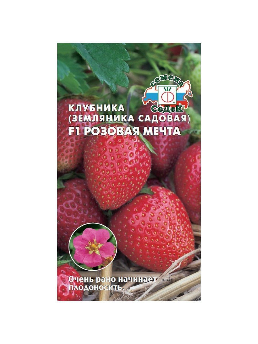 Клубника Фелиция