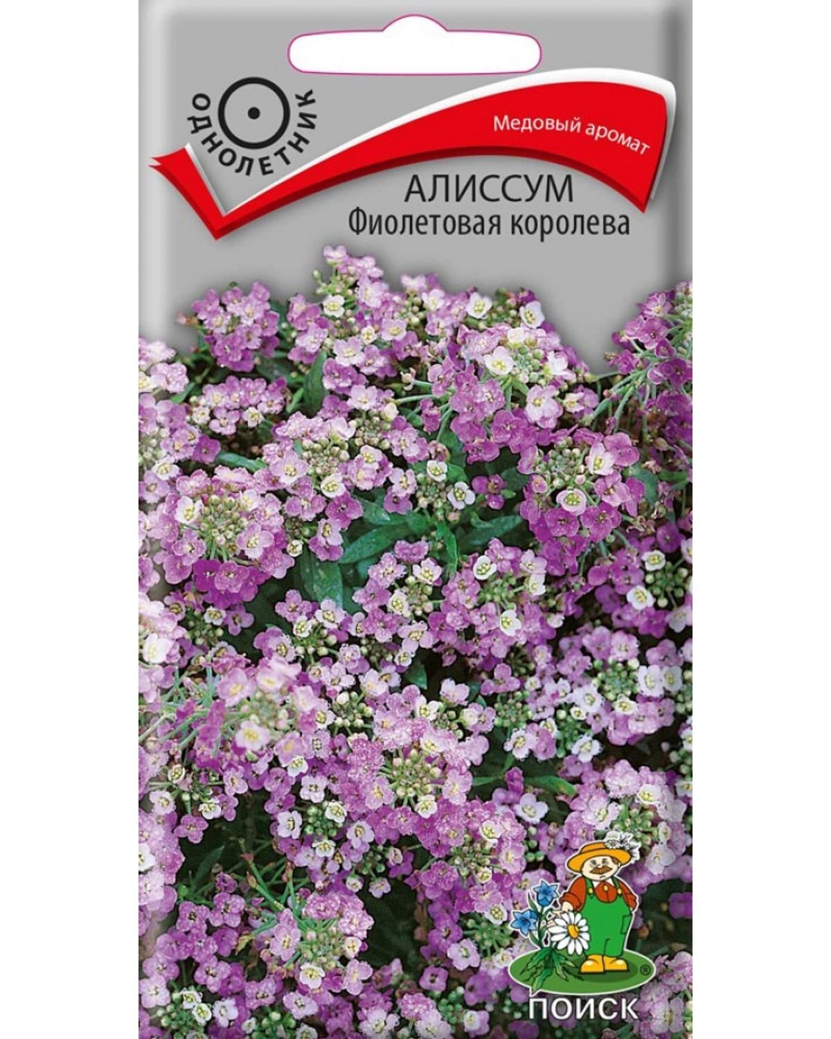 Алиссум Кристалина