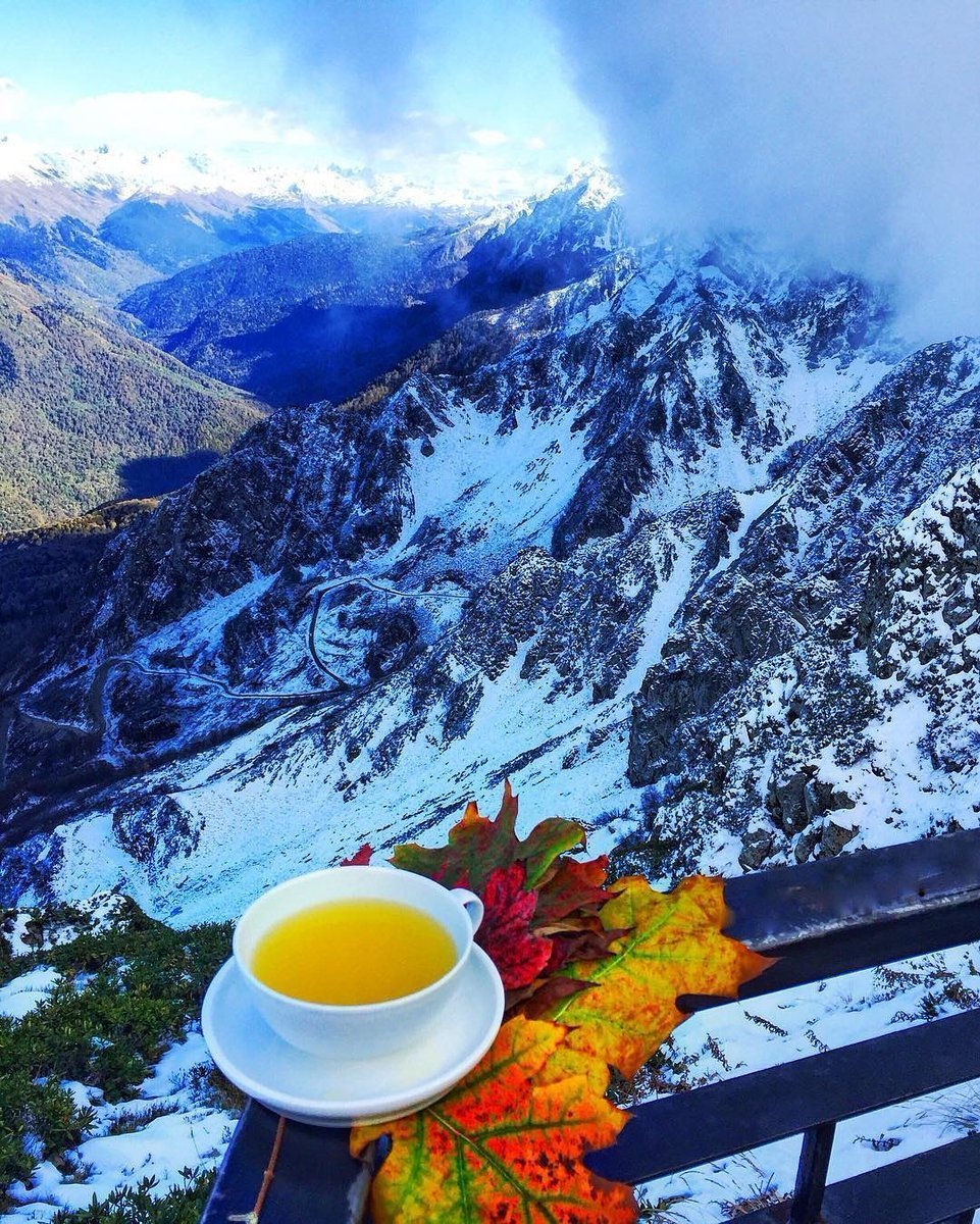 Швейцария озеро тюльпаны