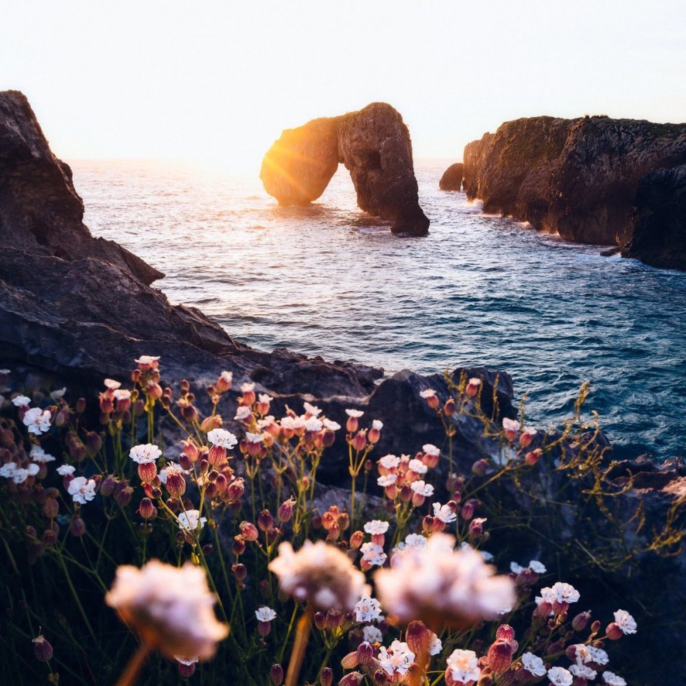 Безумно хочется цветов и моря фото