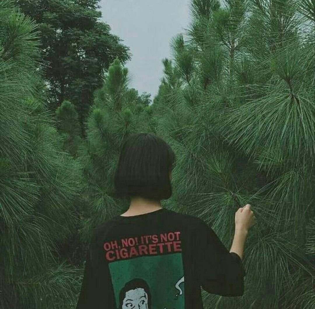 Зеленые сохры