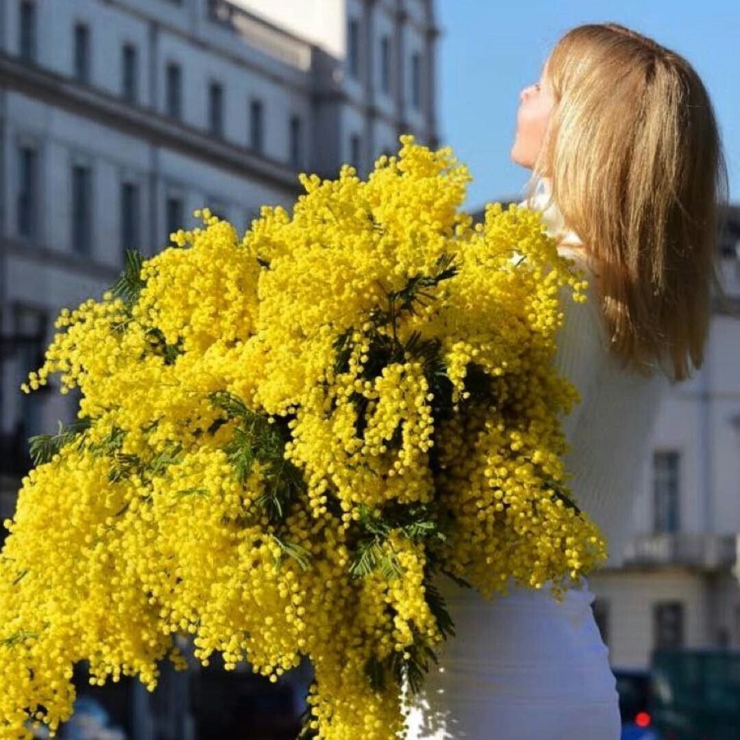 Букет мимозы