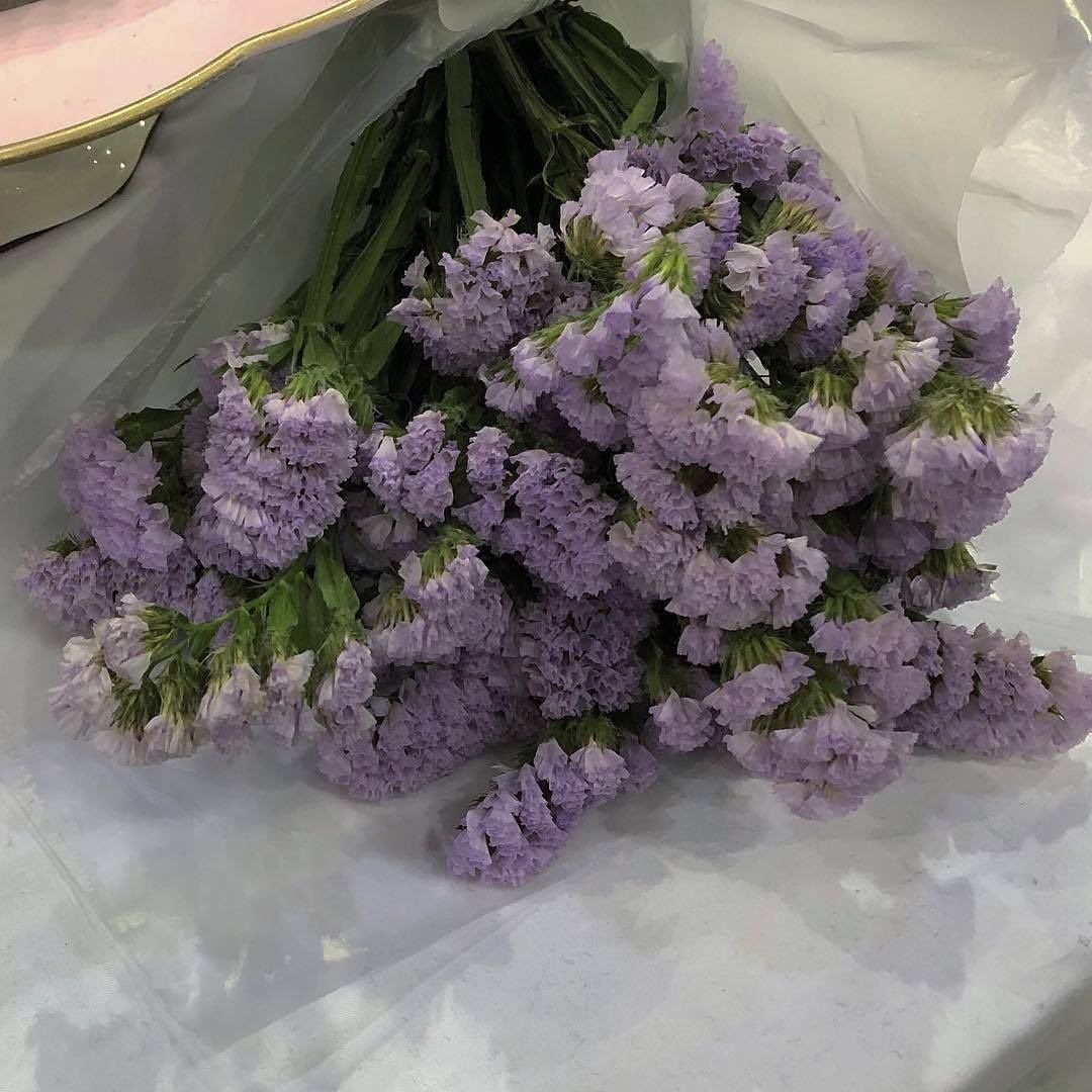 Сиреневые цветы Эстетика