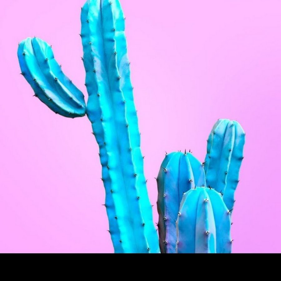 Цвет Cactus