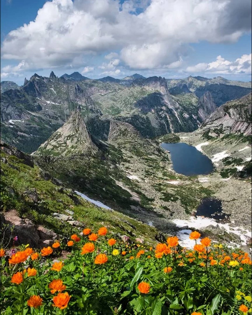 Ергаки цветы Красноярский край