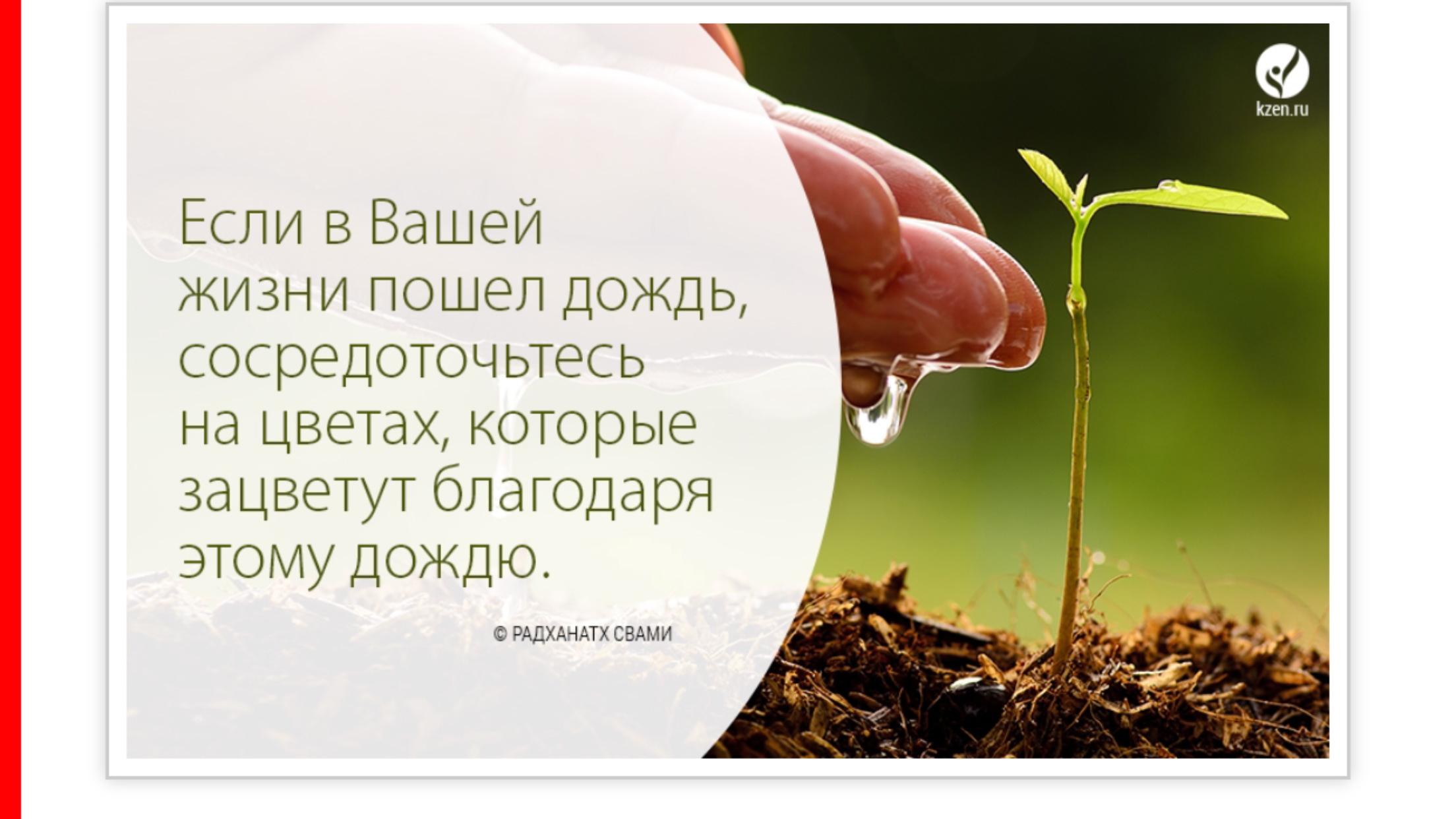 Мысли про цветы. Высказывания о цветах. Высказывания про цветы. Умные высказывания про цветы. Красивые высказывания о жизни.