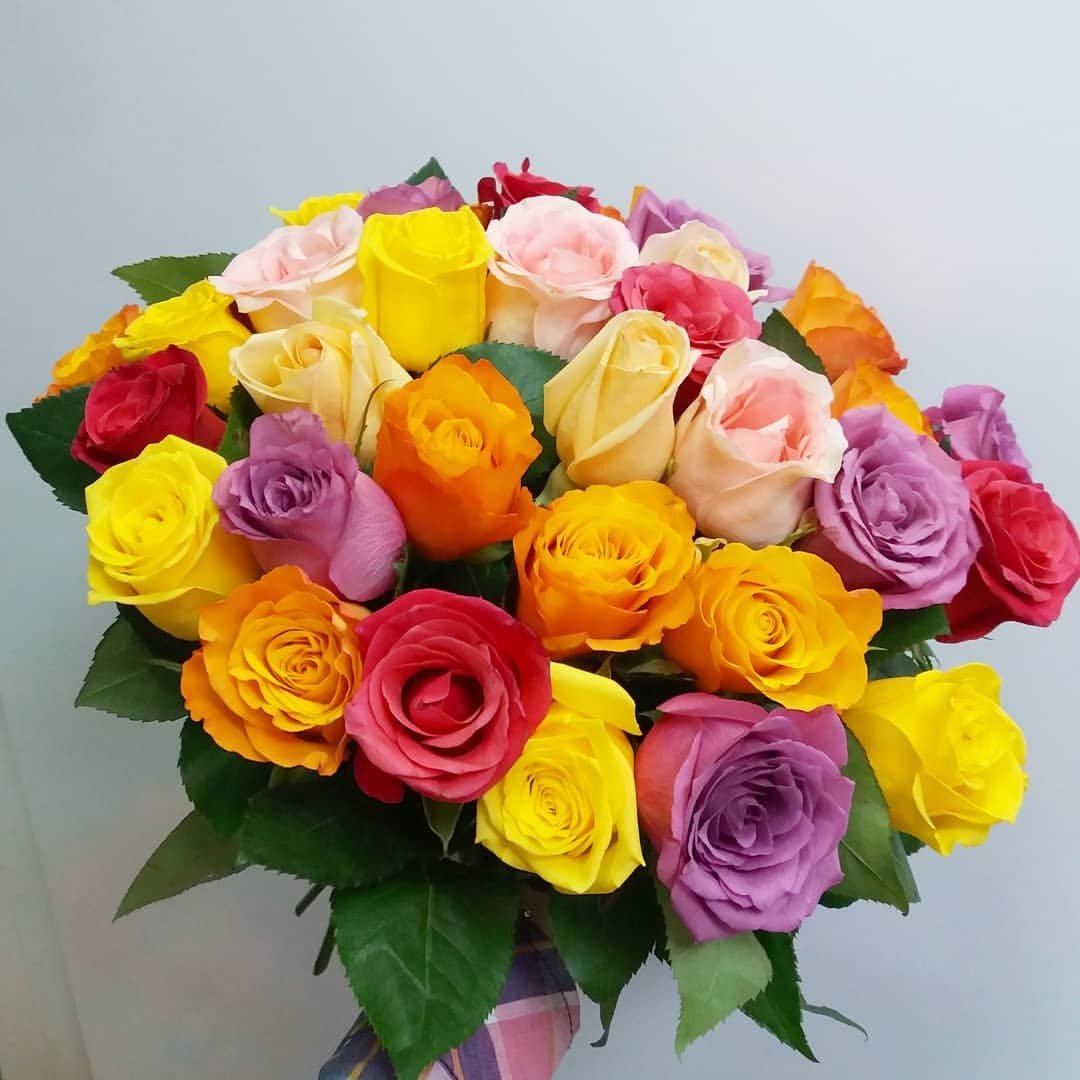 35 Роз Эквадор