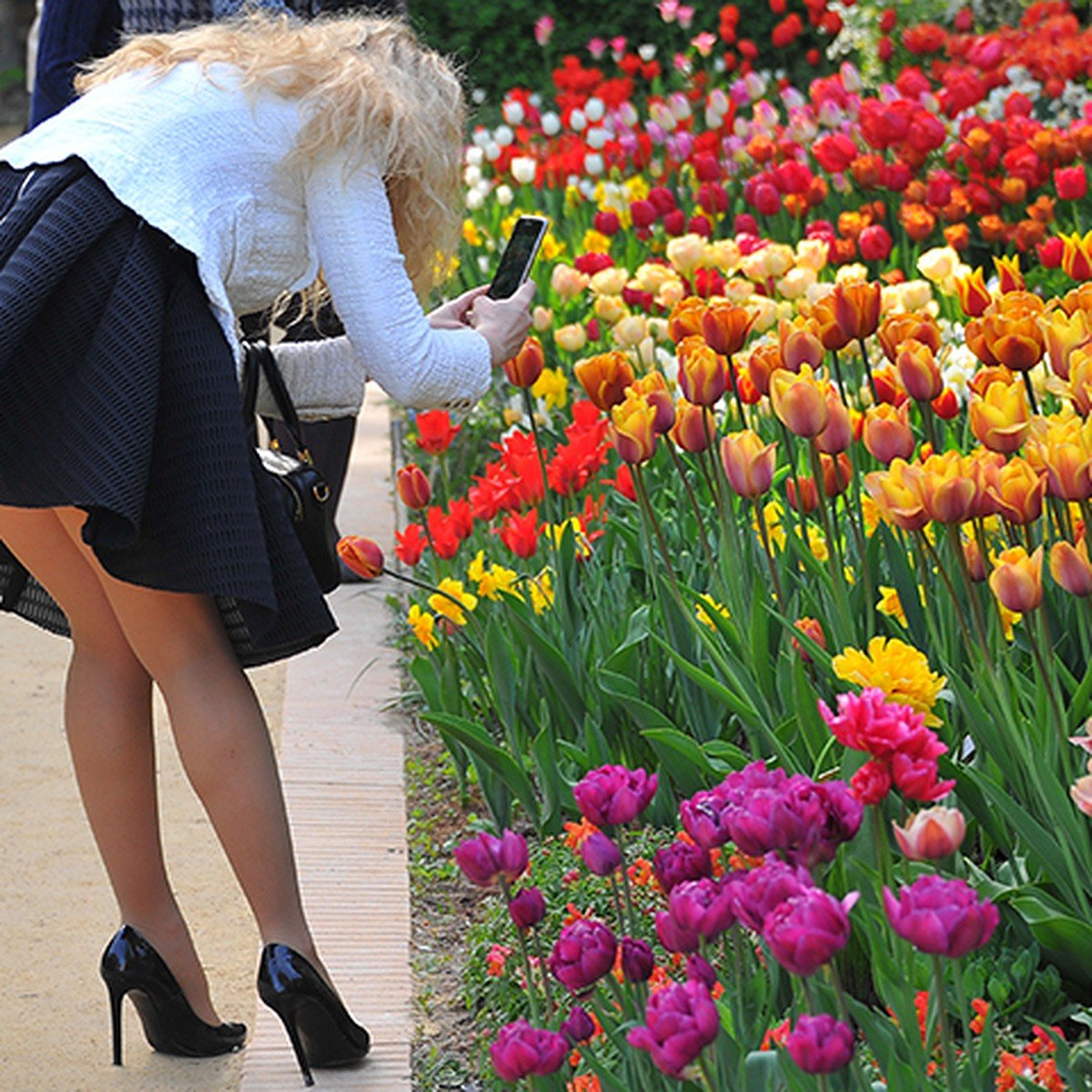 День мини юбки картинки. Весенние девушки в юбках. Женщина с тюльпанами. Девушки весной на улице в юбке.