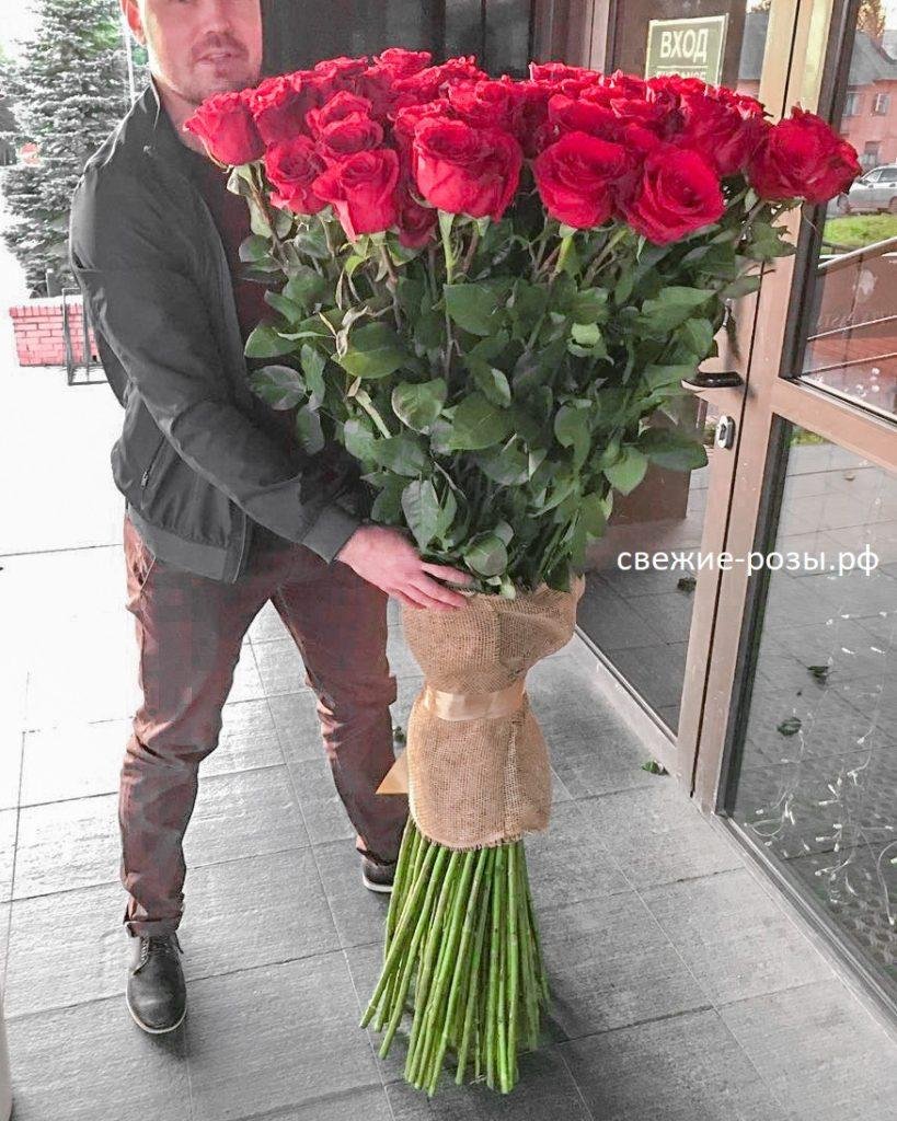 Высокие розы