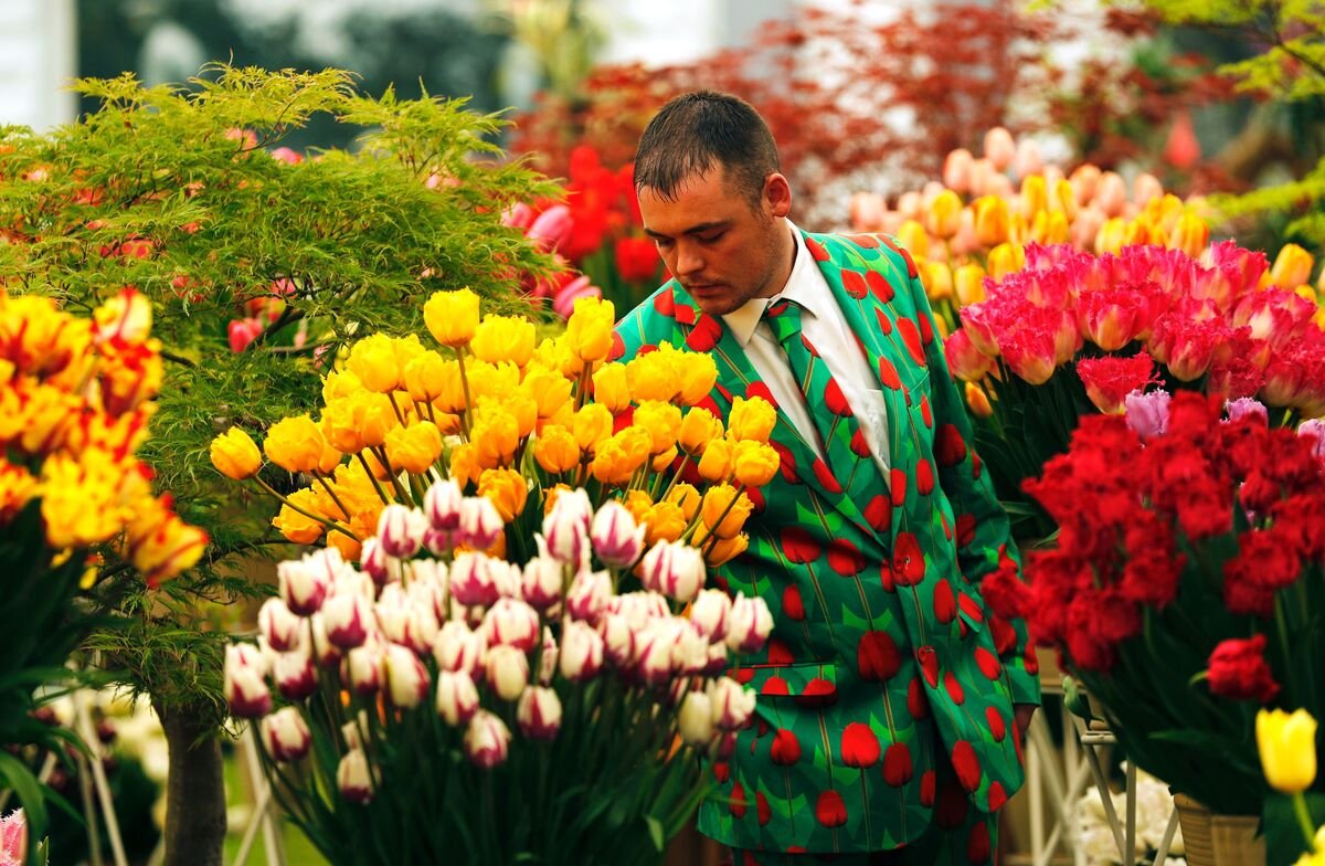 Праздник the Chelsea Flower show