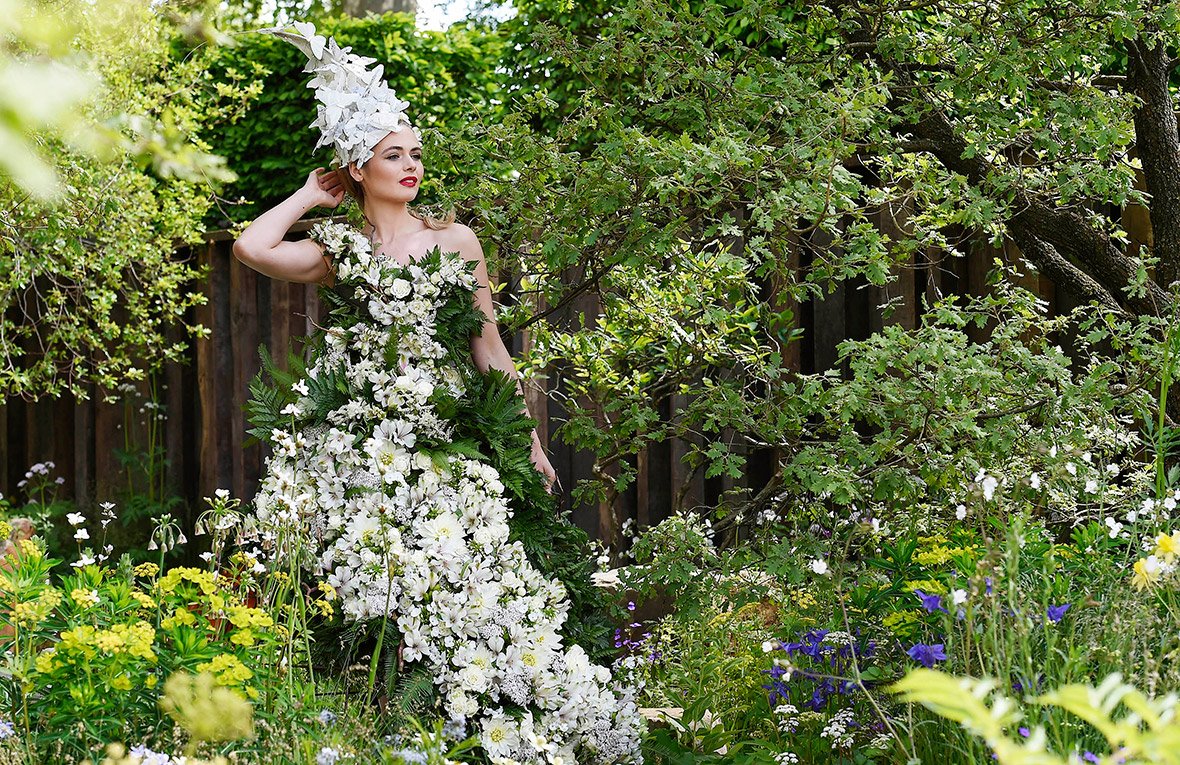 Фестиваль цветов в Челси Chelsea Flower show