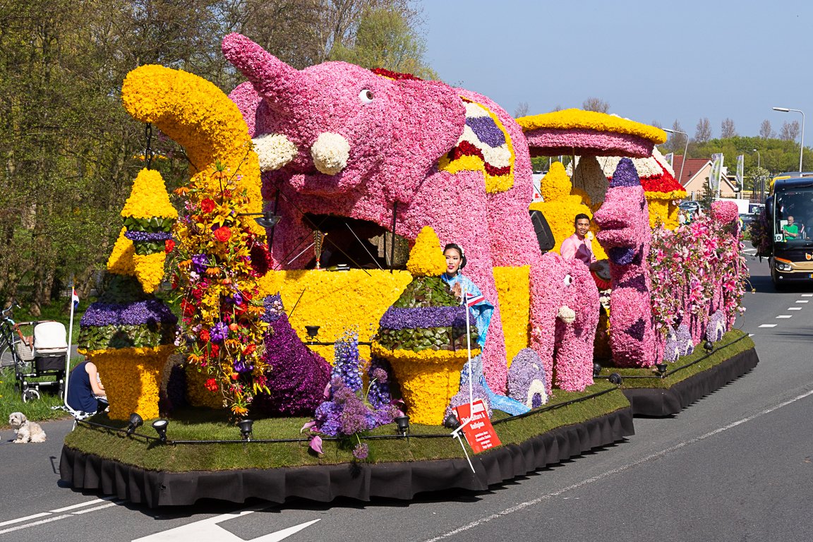 Парад цветов Bloemencorso Bollenstreek