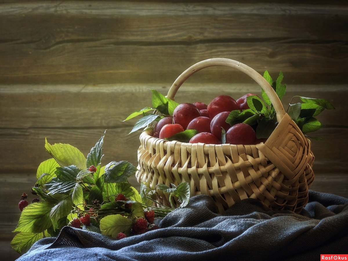 Ирина Приходько фотограф