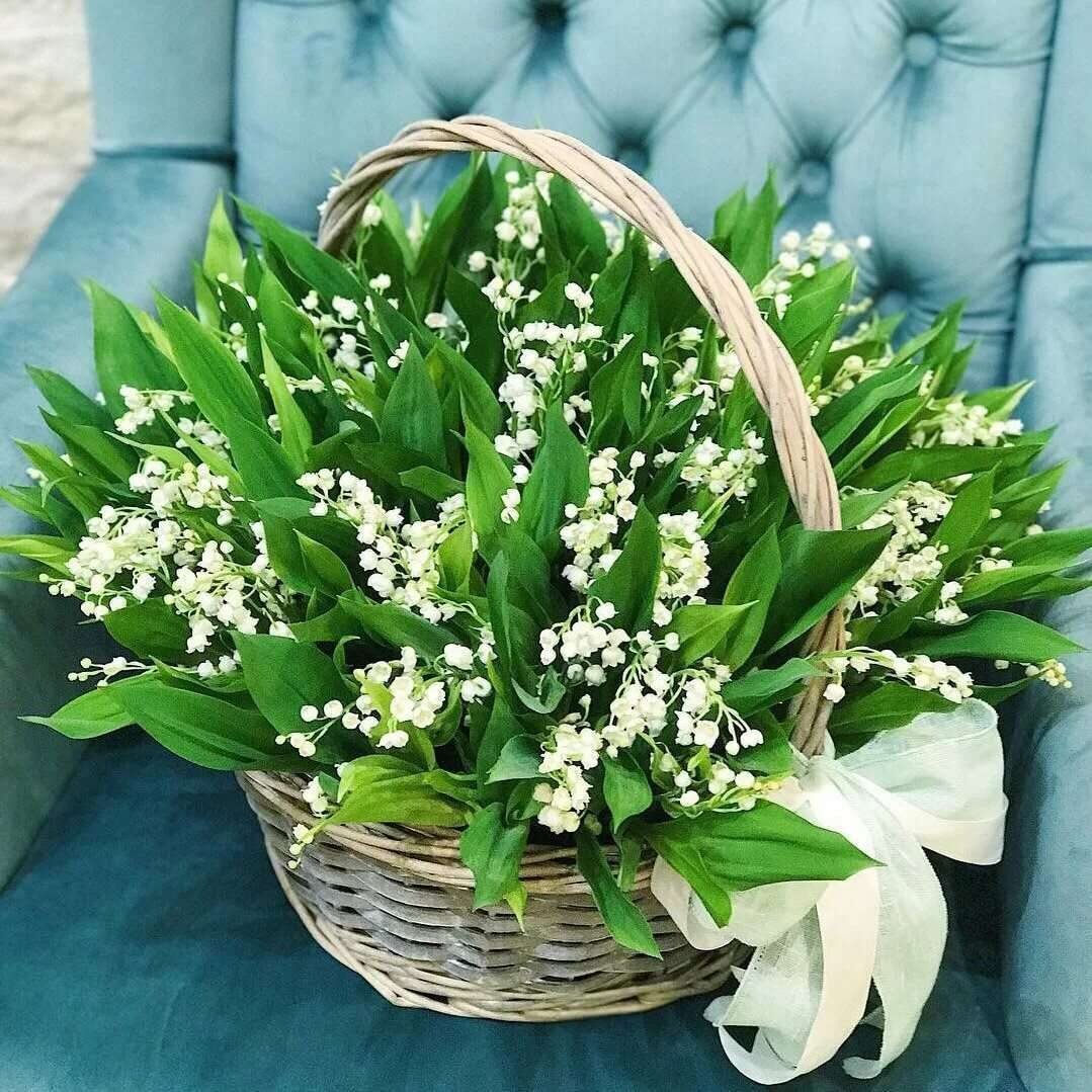 Ландыши тюльпаны Ландыши