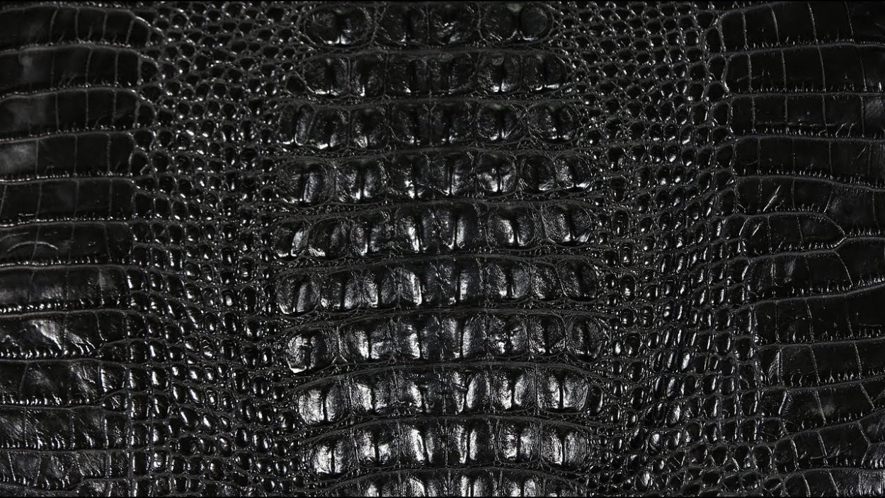 Сумка Bally женская Crocodile