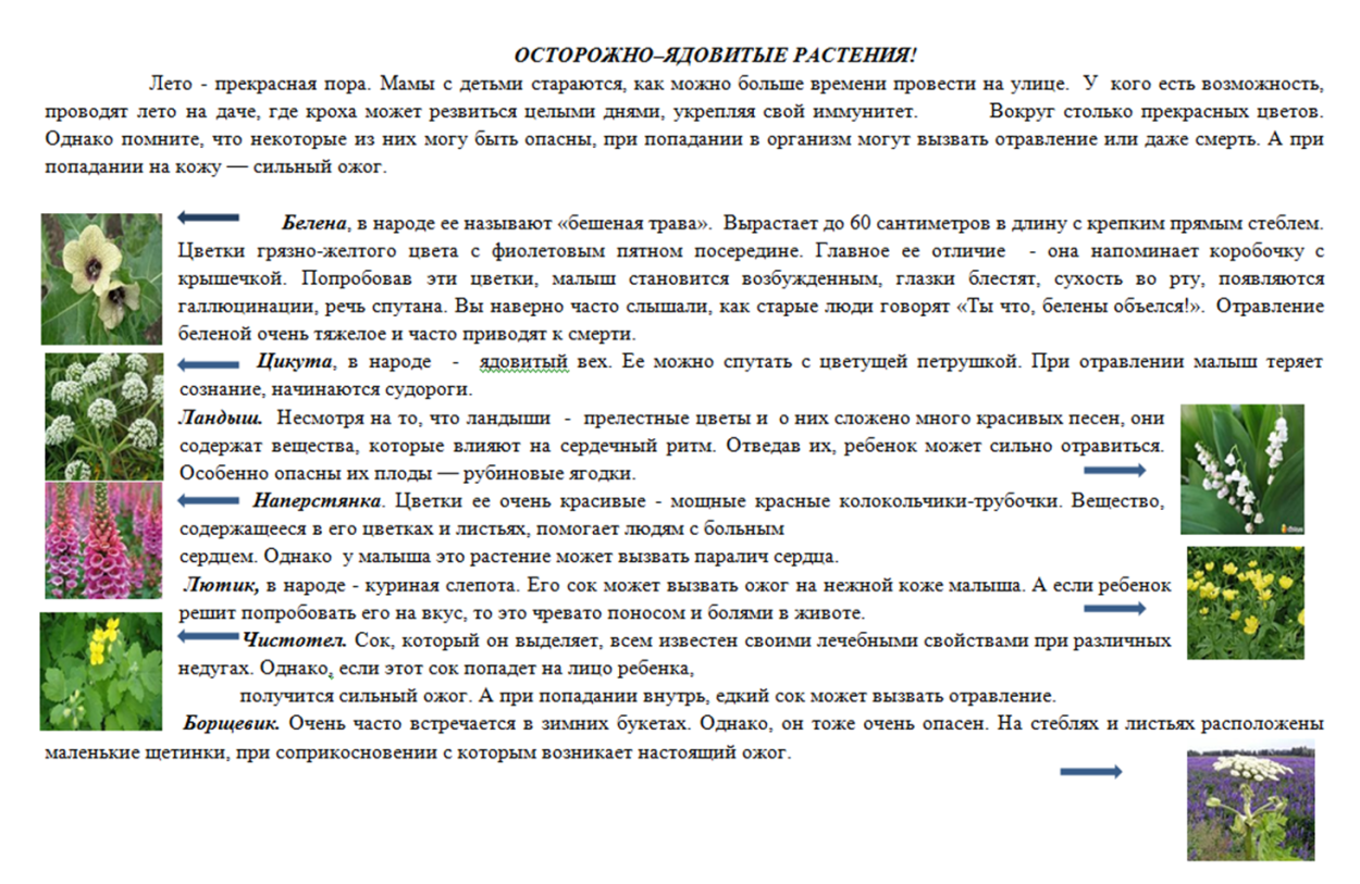Опасные комнатные растения