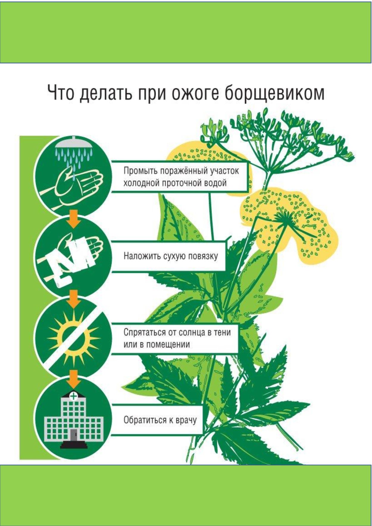 Ядовитые растения