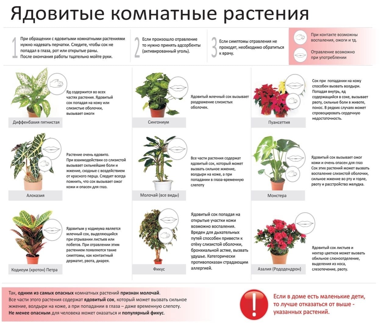 Ядовитые растения Дагестана