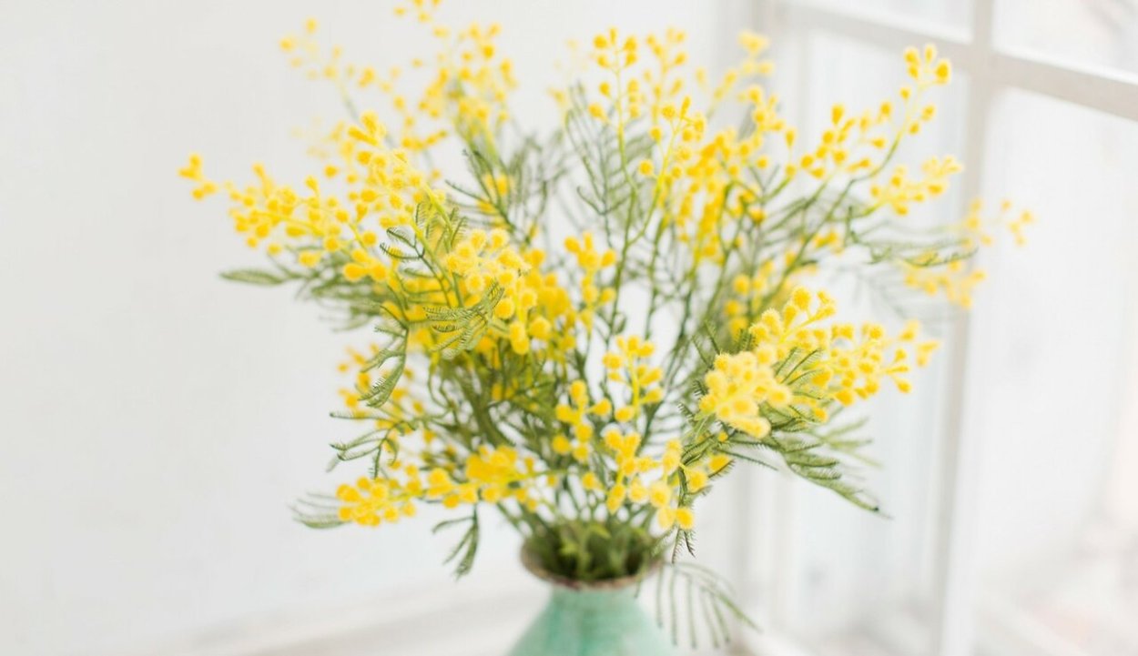 Весенние желтые цветы
