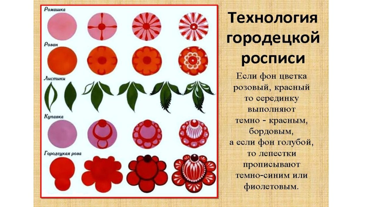 Купальница европейская (Trollius europaeus)