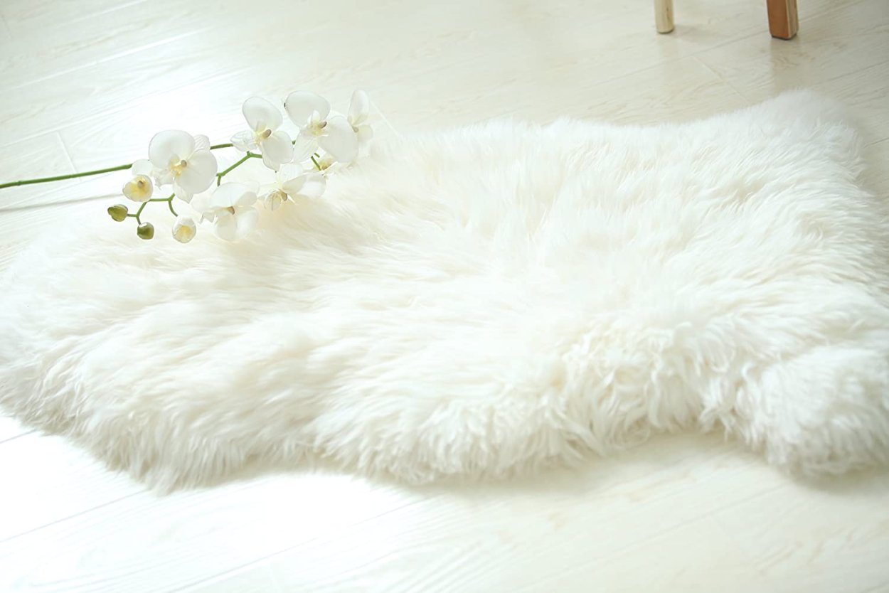 Кортадерия сухоцвет