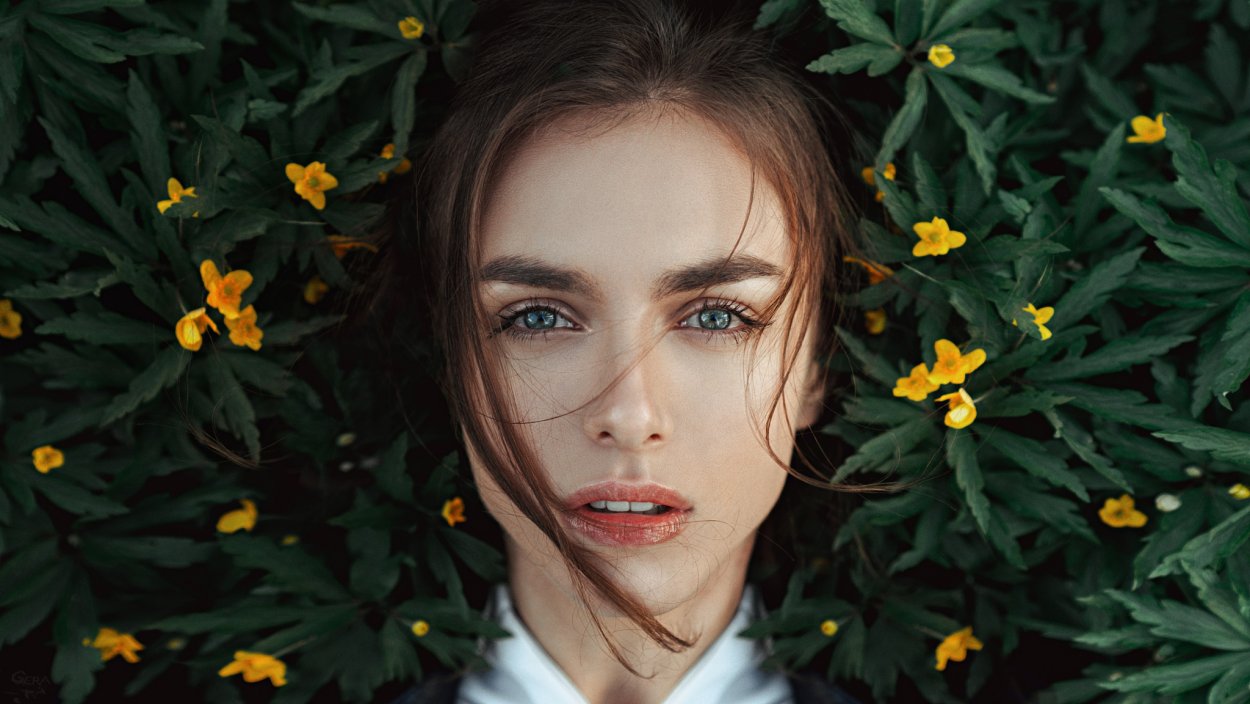 Виктория Вишневецкая