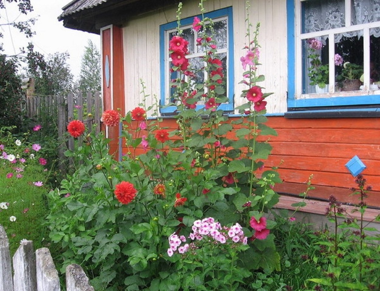Разноцветная дача