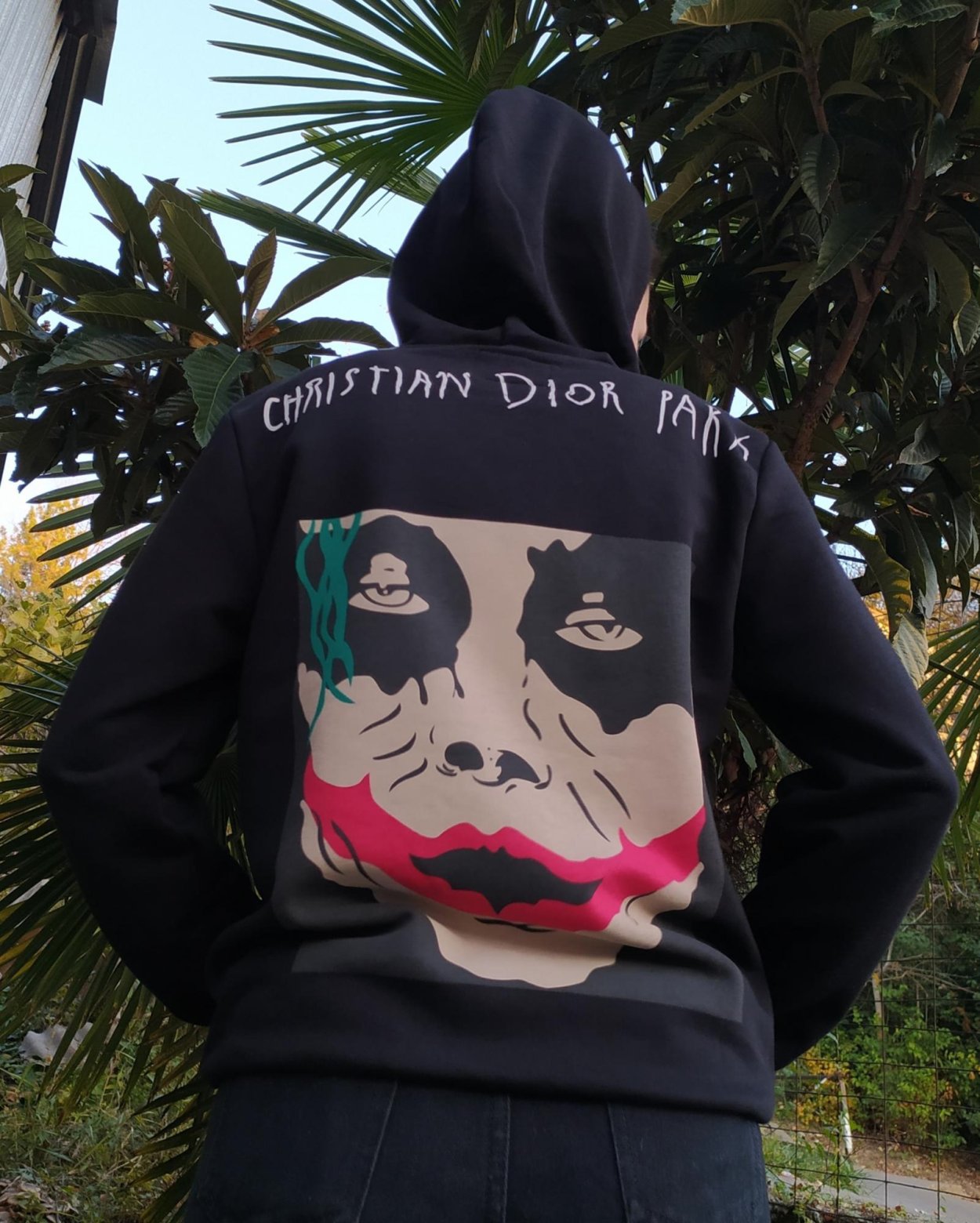 Худи Christian Dior Joker