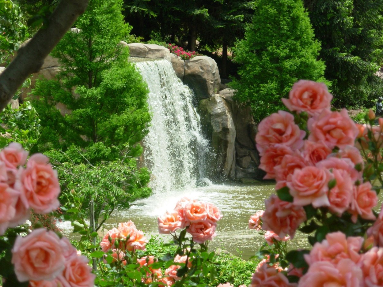 Водопад из цветов