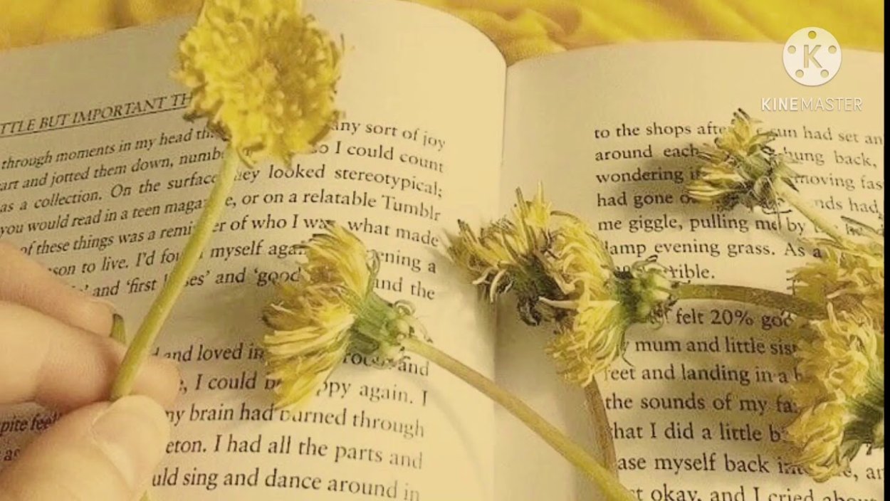 Книги Эстетика в желтых тонах