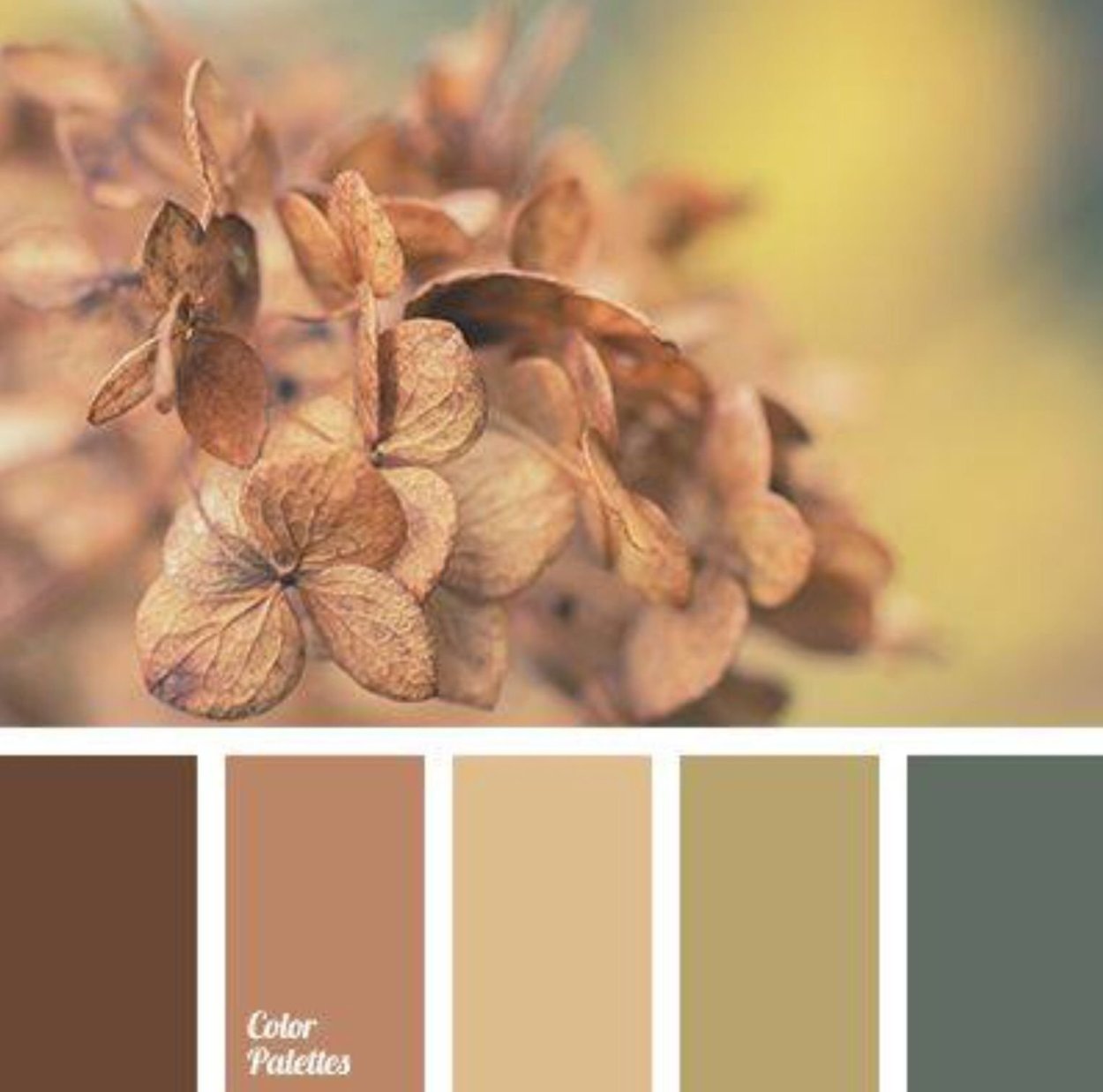 Цветовая палитра Color.romanuke