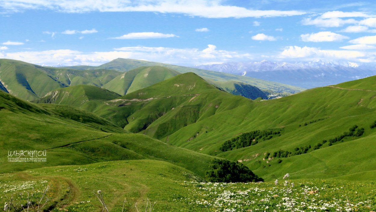 Альпийские Луга Лакии Дагестан
