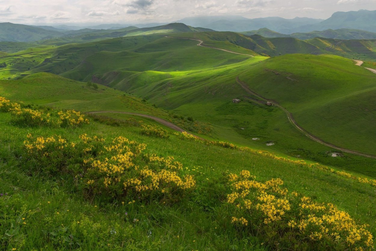 Субальпийские Луга Дагестана