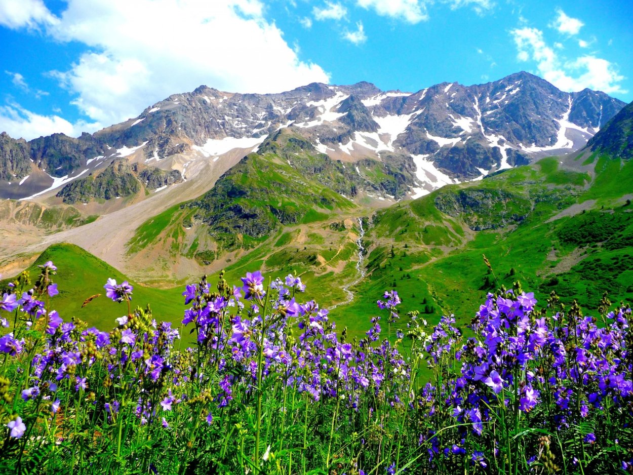Альпийские Луга Швейцария