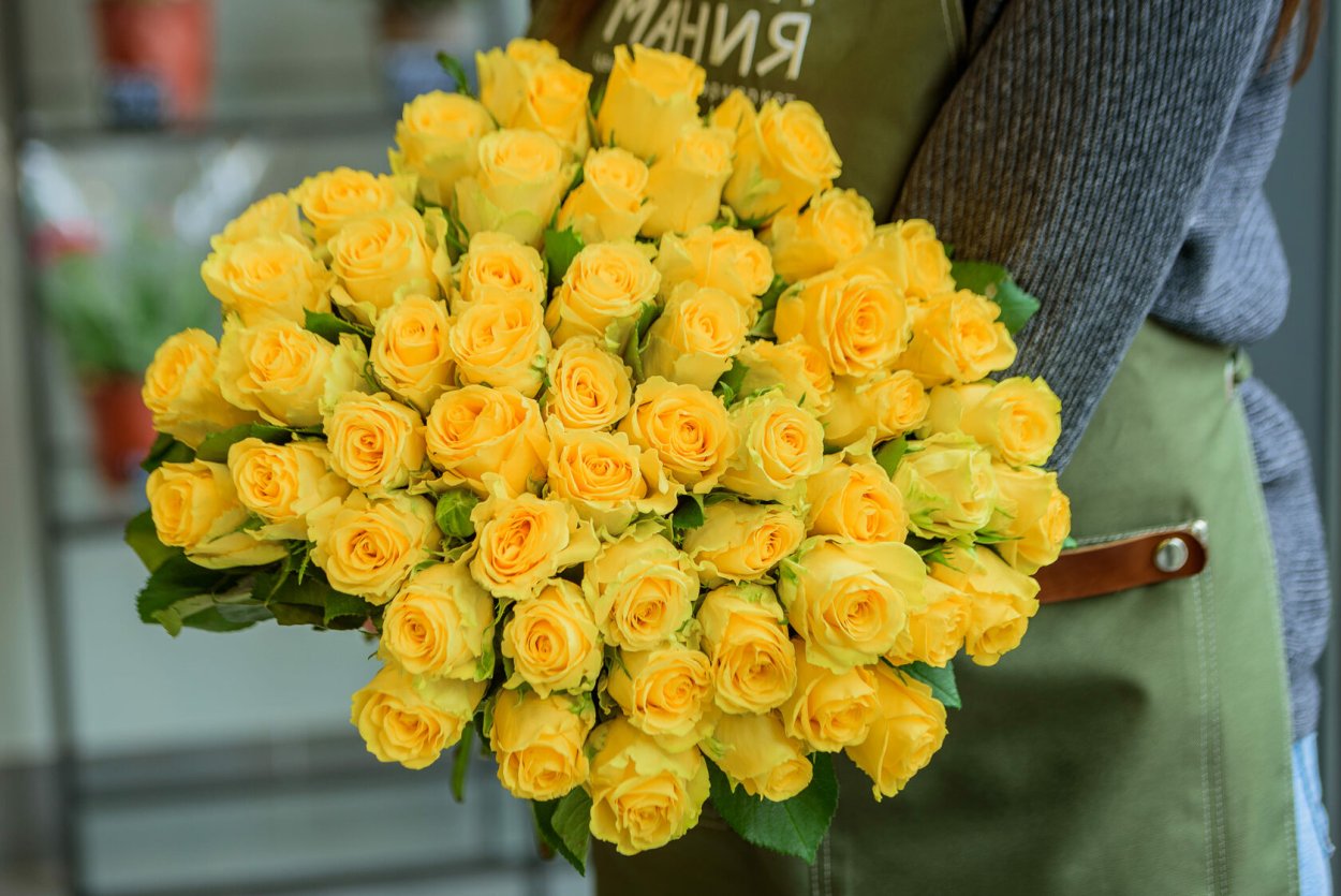 51 Роза Кения микс