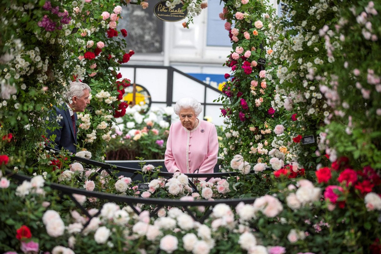 Фестиваль цветов в Челси Chelsea Flower show