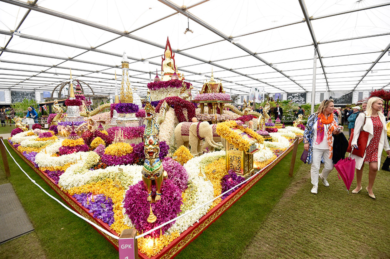 Фестиваль цветов в Челси Chelsea Flower show