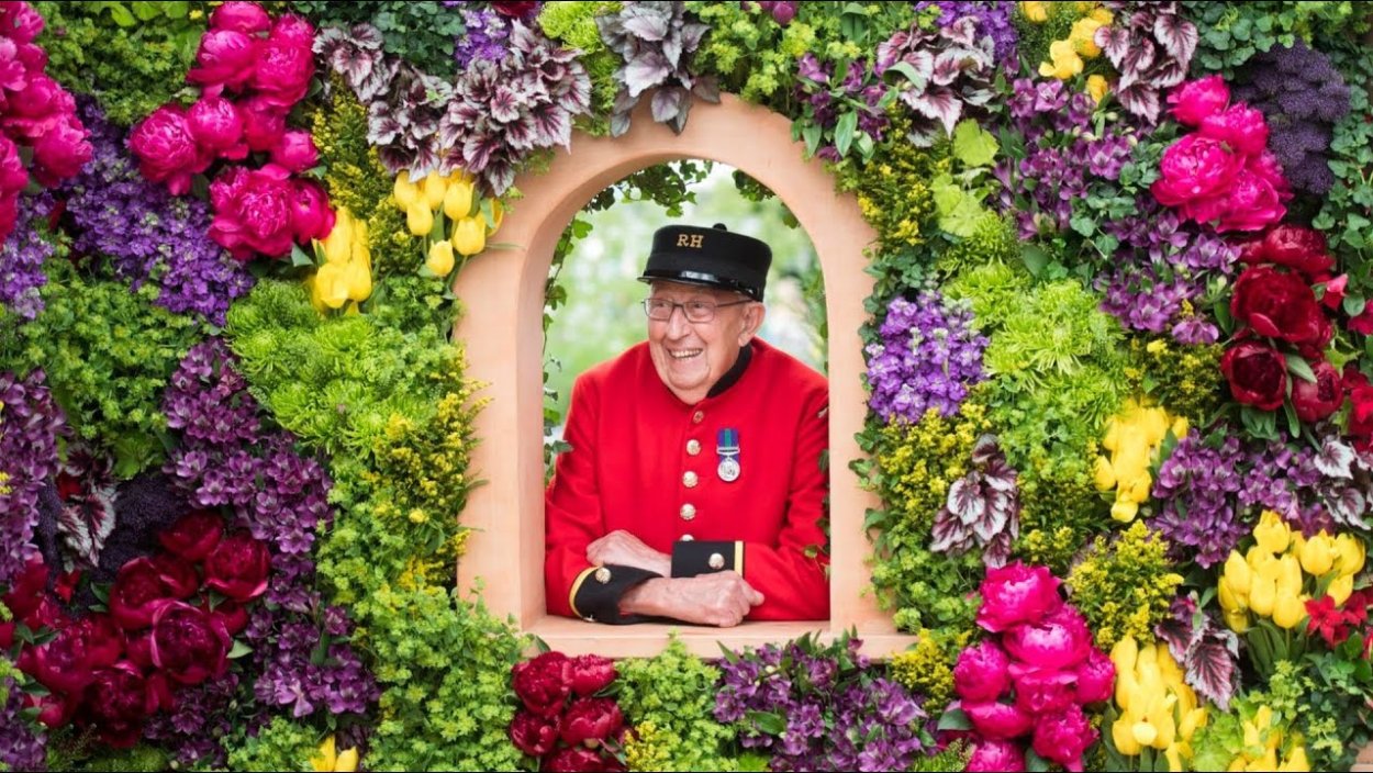 Челси Flower show