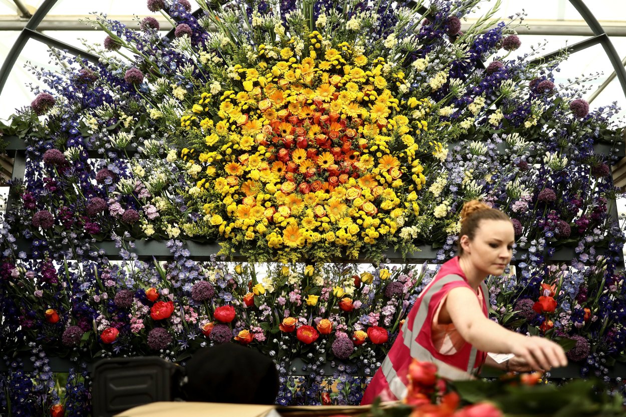 Фестиваль цветов в Челси Chelsea Flower show