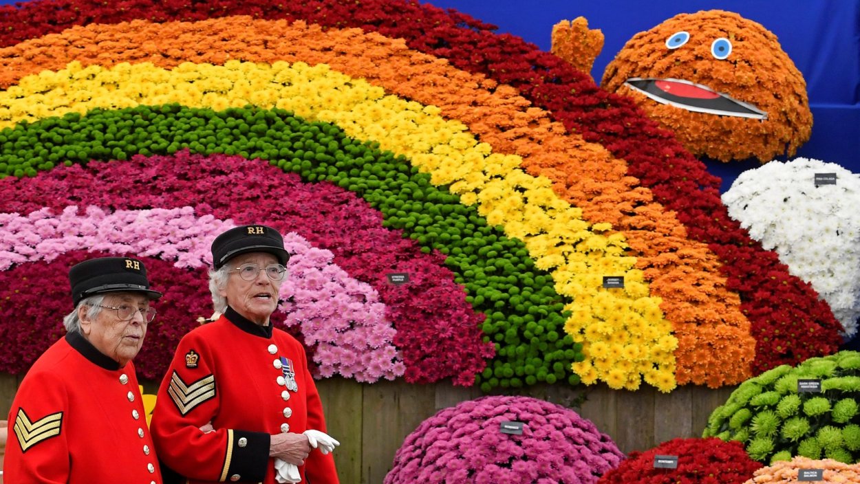 Фестиваль цветов в Челси Chelsea Flower show