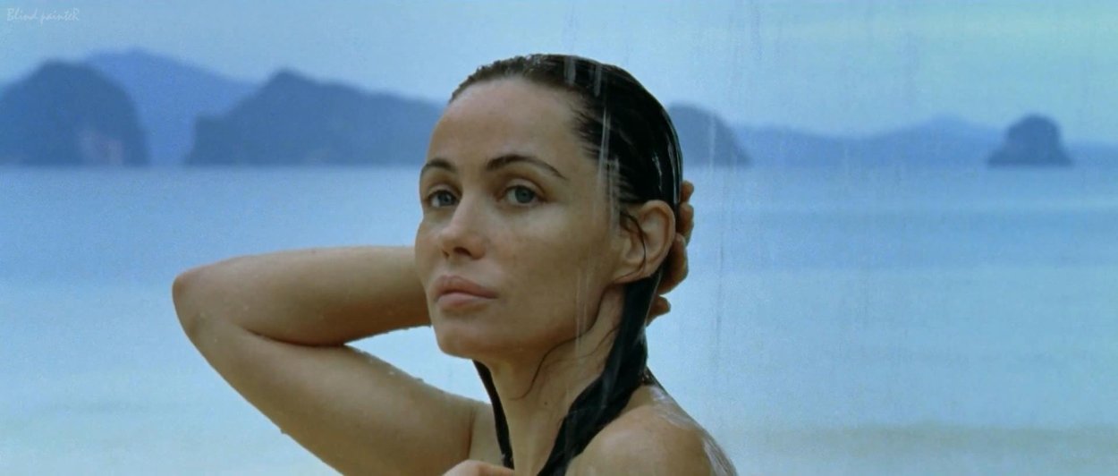 Emmanuelle Beart 2008