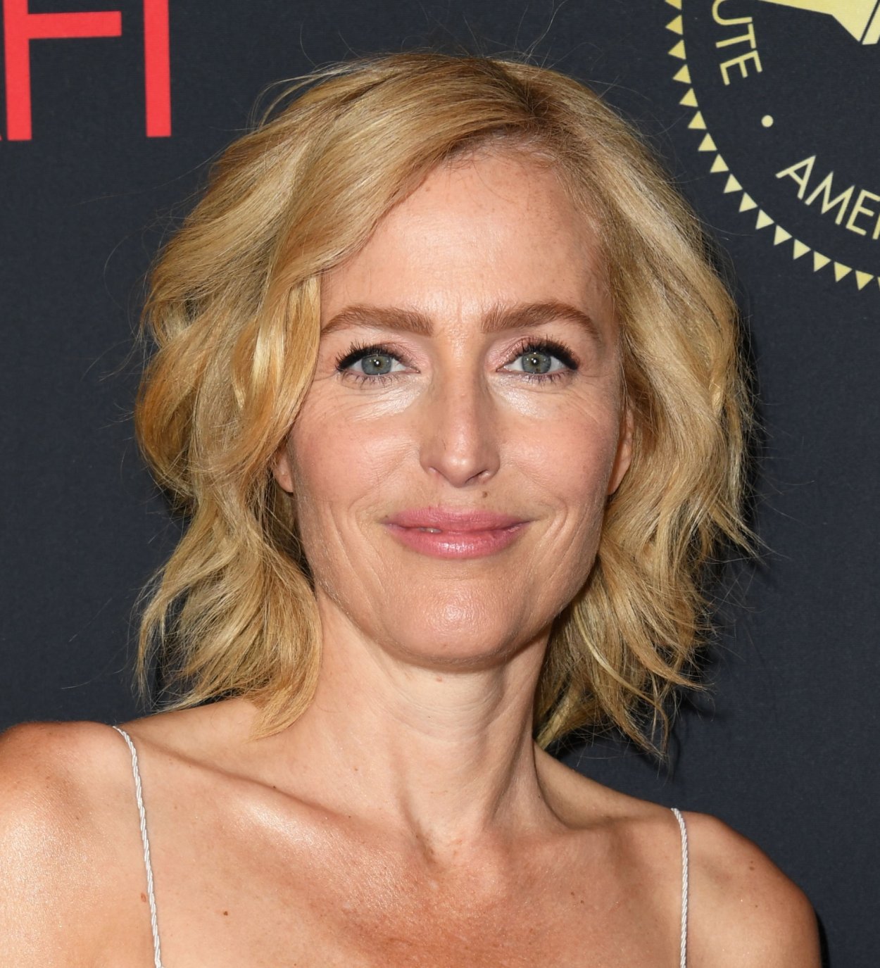 Gillian Anderson face