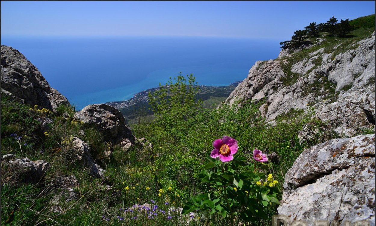 Луга Крыма