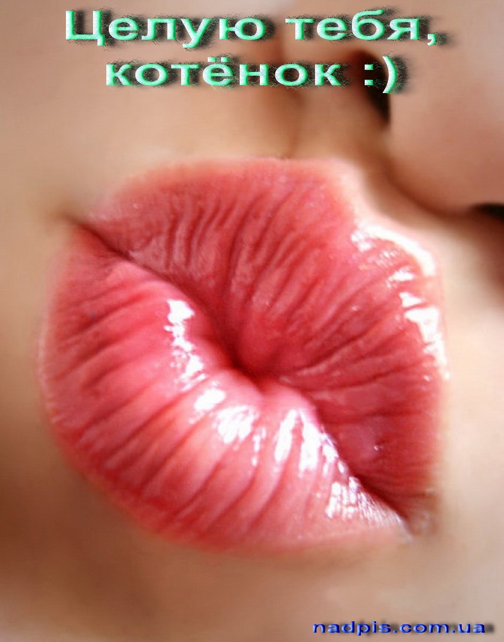 Красивые губки