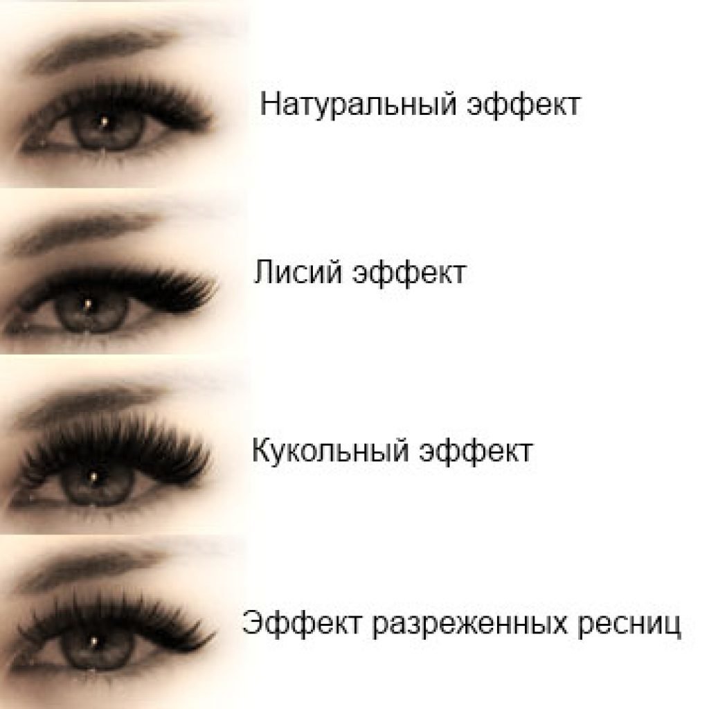 Наращивание ресниц беличий эффект 2д схема