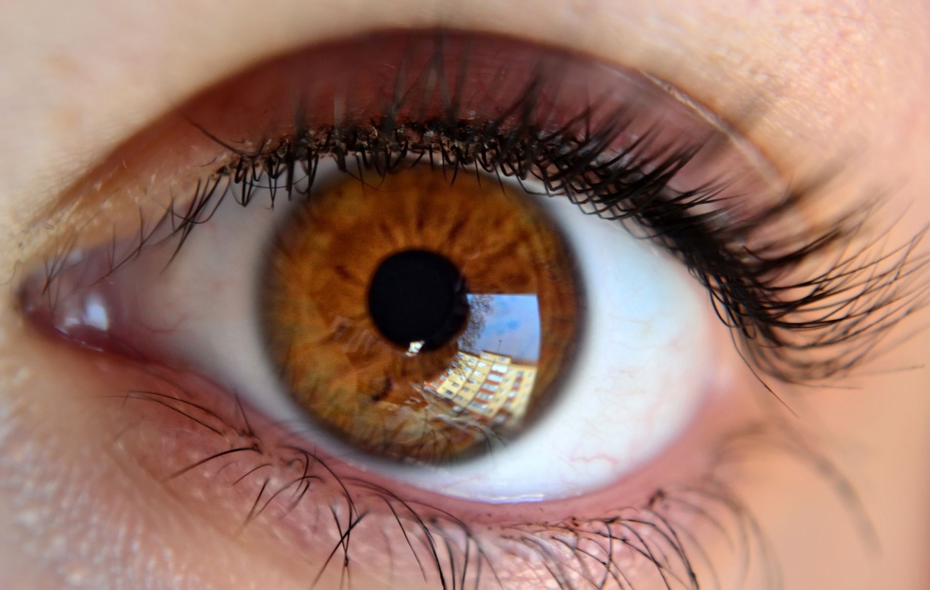 Коричневые глазки. Болотный цвет глаз гетерохромия. Цветные линзы гетерохромия. Янтарные глаза. Коричневые глаза.