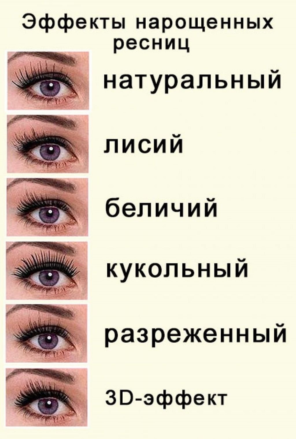 Наращивание ресниц беличий эффект 2д схема