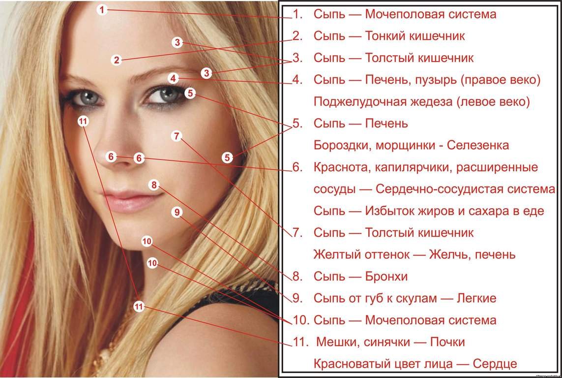 Мушка в макияже